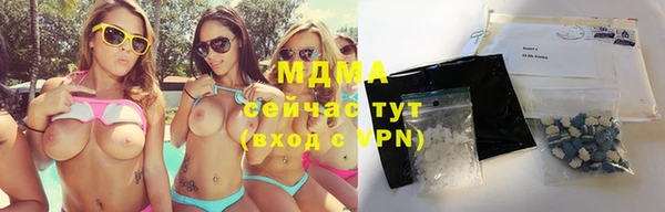 твердый Гусев