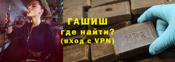 твердый Гусев
