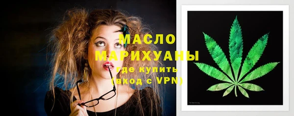 твердый Гусев