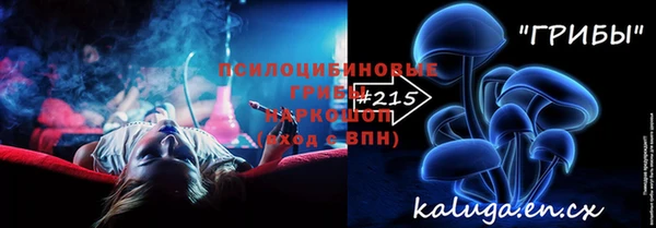 твердый Гусев