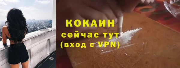 твердый Гусев