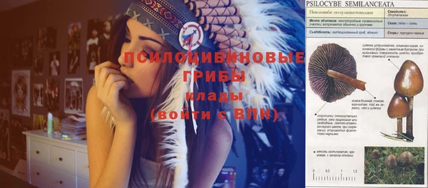 МДПВ Гусь-Хрустальный