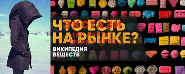 твердый Гусев