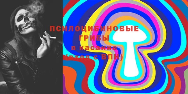 МДПВ Гусь-Хрустальный