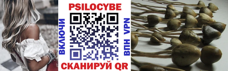 закладка  Окуловка  Галлюциногенные грибы MAGIC MUSHROOMS 
